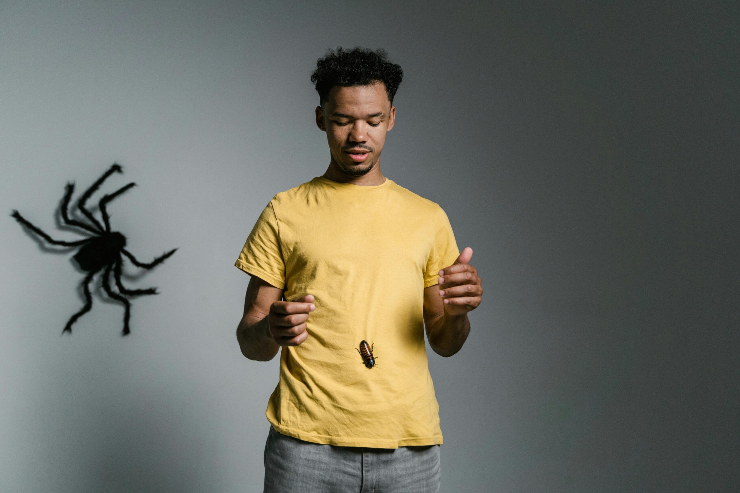 Ultimate Guide to Calming Anxiety Naturally: Nervous System-Based Healing ultimate guide to calming anxiety naturally nervous system based healing