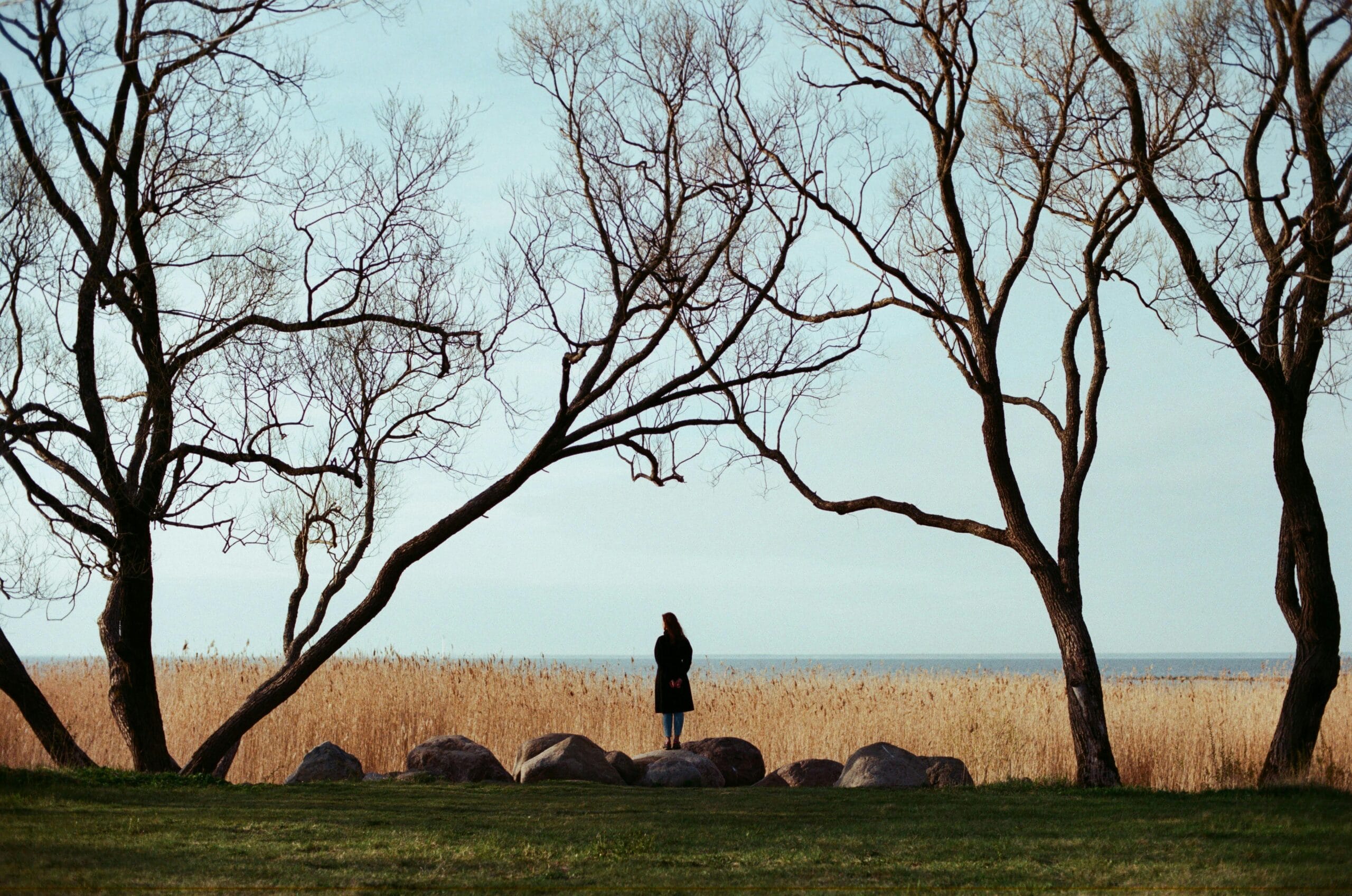 How to Build Emotional Awareness If You Feel Disconnected how to build emotional awareness if you feel disconnected