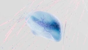 signs your anxiety is actually nervous system dysregulation