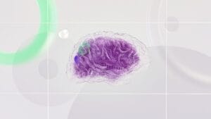 calm nervous system